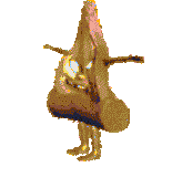 ROLOBI